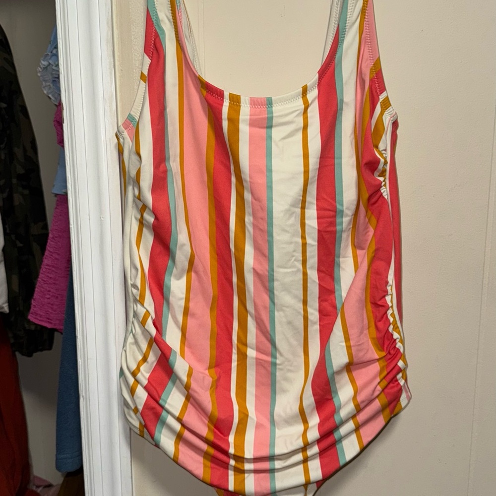 Striped Multicolor Women's Swimsuit Plus